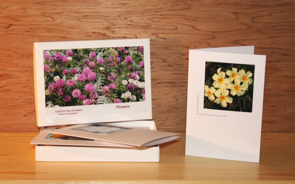 Buy Flowers Cards